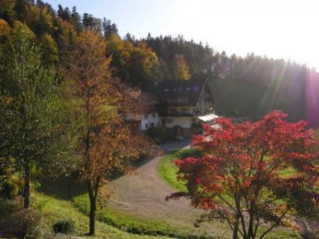 Md Waldhotel Palmspring Bad Peterstal-Griesbach Zewnętrze zdjęcie