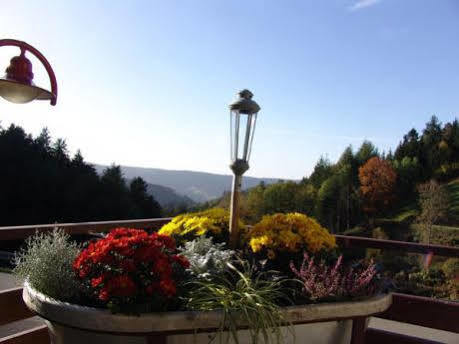 Md Waldhotel Palmspring Bad Peterstal-Griesbach Zewnętrze zdjęcie